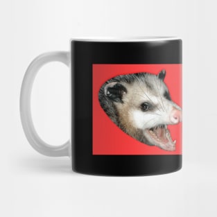 I brake for trash kitties Mug